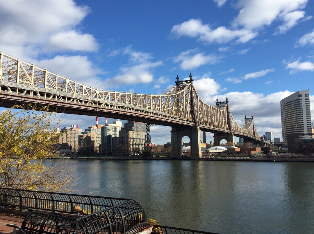 TCM Classic Film Tour-纽约市必去景点