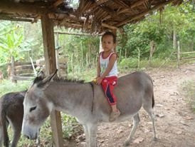 Portoviejo Flea Market-Portoviejo必去景点