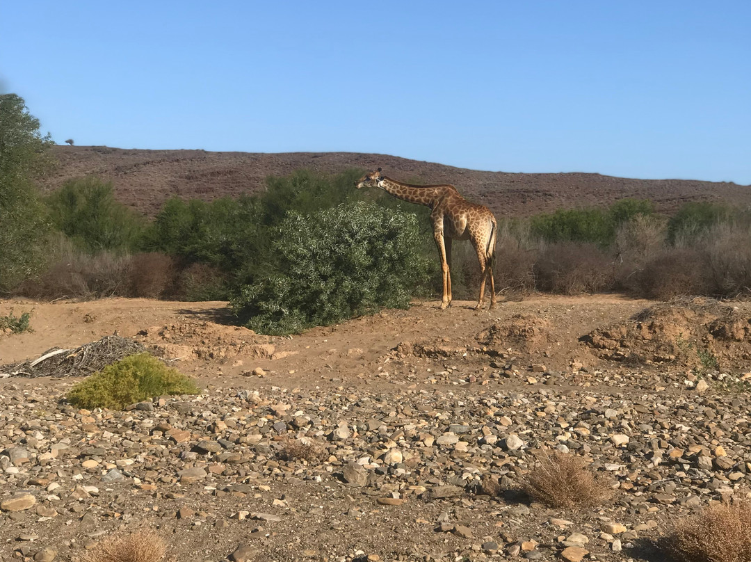 Garden Route-西开普必去景点