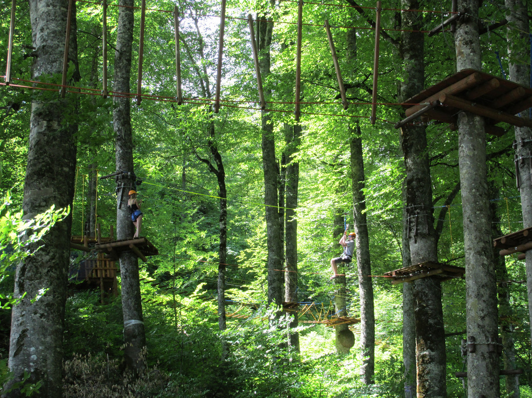 Rope Adventure Park-Esto-Sadok必去景点