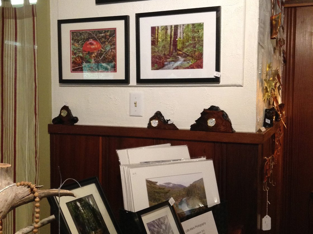 Art of the Burl Redwood Gallery景点图片