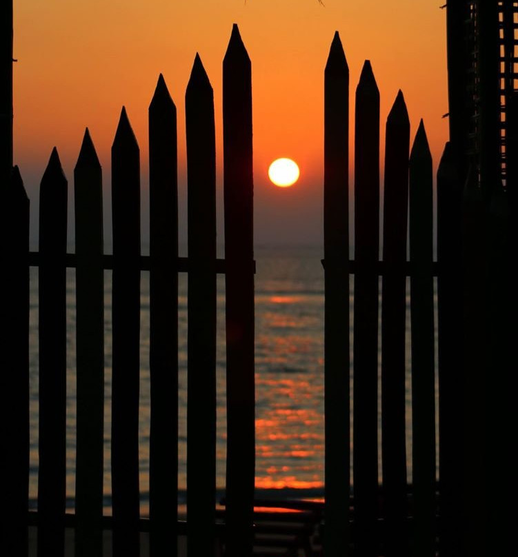 Shayari Eco Resort主图