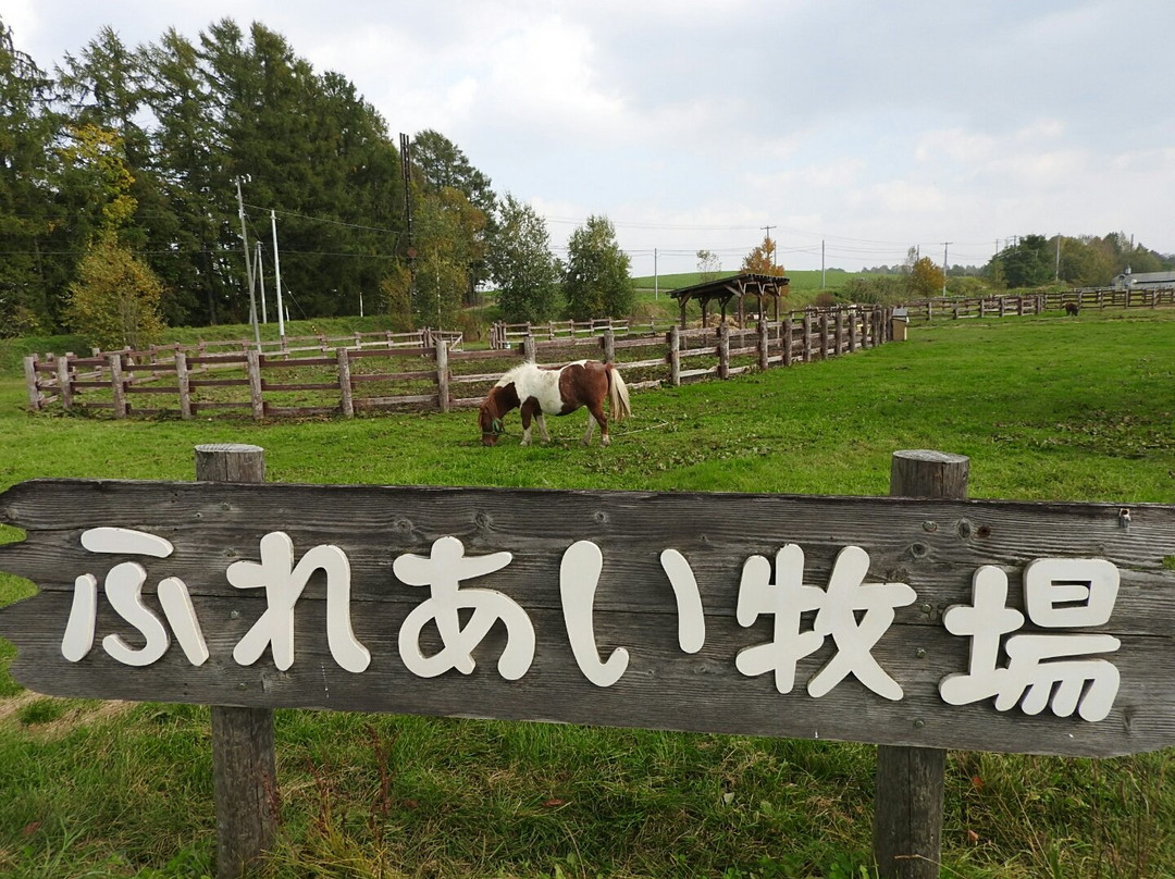 Fureai Farm-美瑛町必去景点