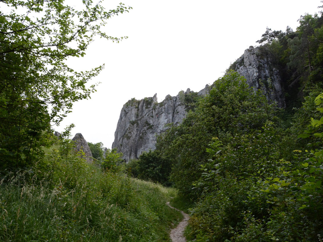 Bolechowicka Valley景点图片