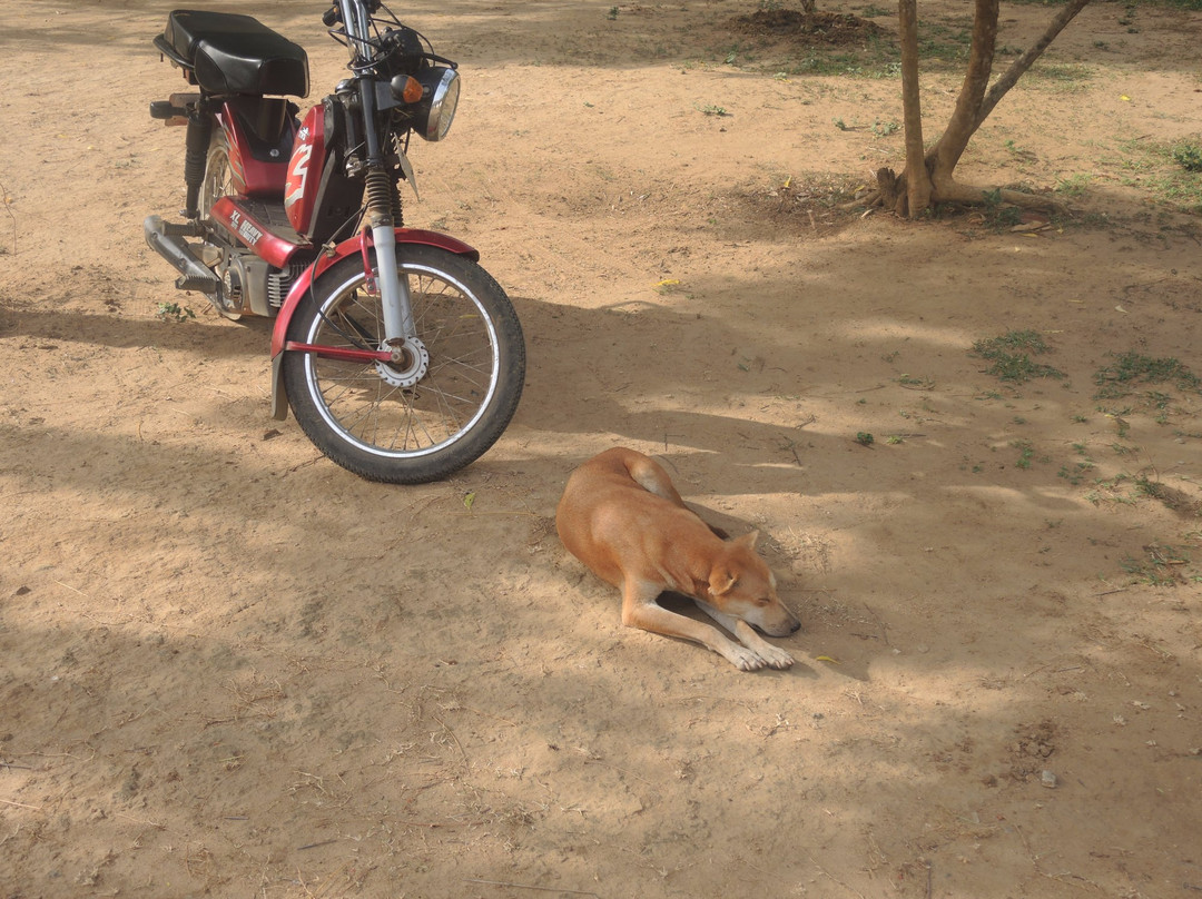 Wellassa Resort主图