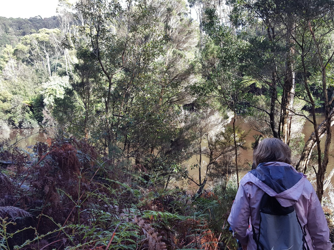 King Island Rambles-King Island必去景点