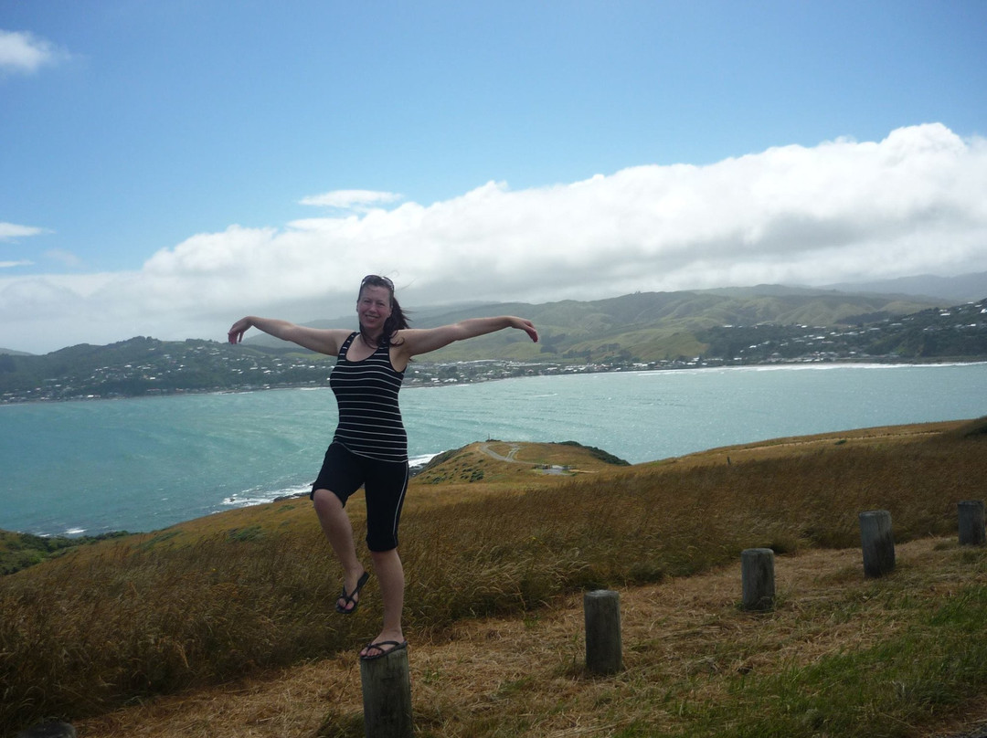 Porirua Harbour景点图片