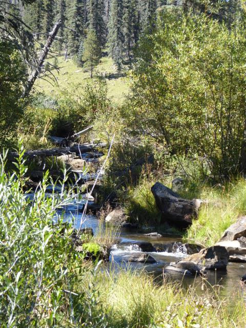 Thompson Trail (Forest Service Trail 629)-Pinetop-Lakeside必去景点