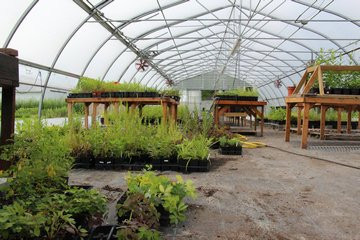 J.C. Reuthinger Memorial Preserve-佩里斯堡必去景点