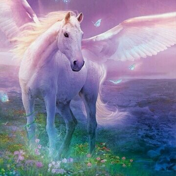 Santuario Histórico Bosque de Pómac-Ferrenafe必去景点