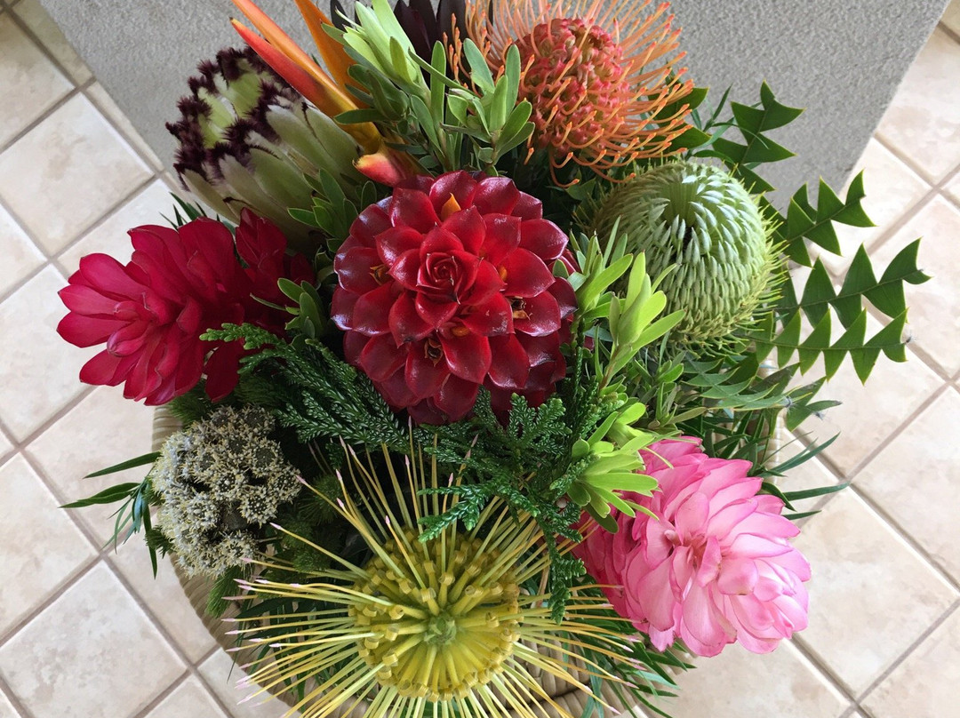 No Ka Oi Protea Farm-库拉必去景点