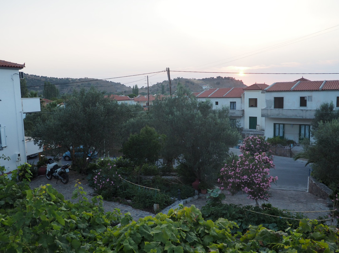 Studios Anessis
