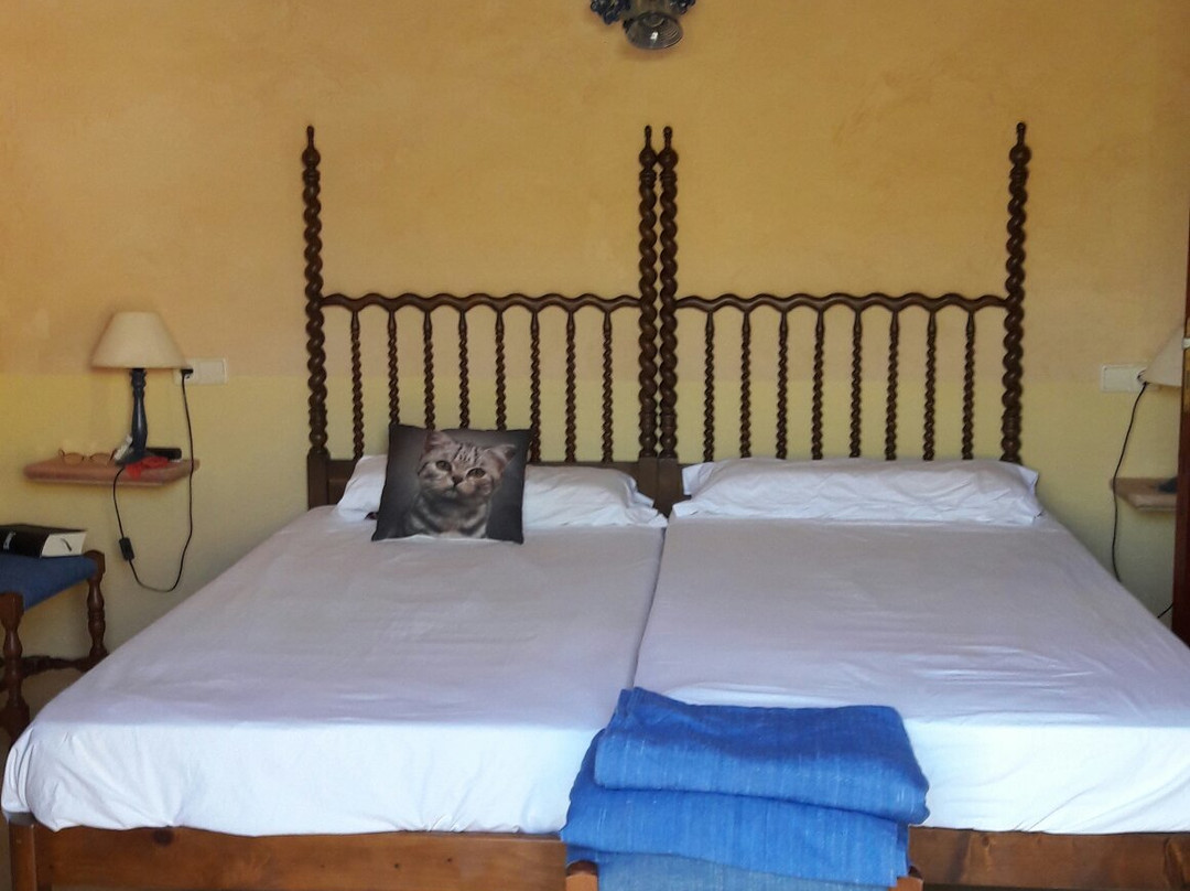 Agroturisme Son Sureda主图