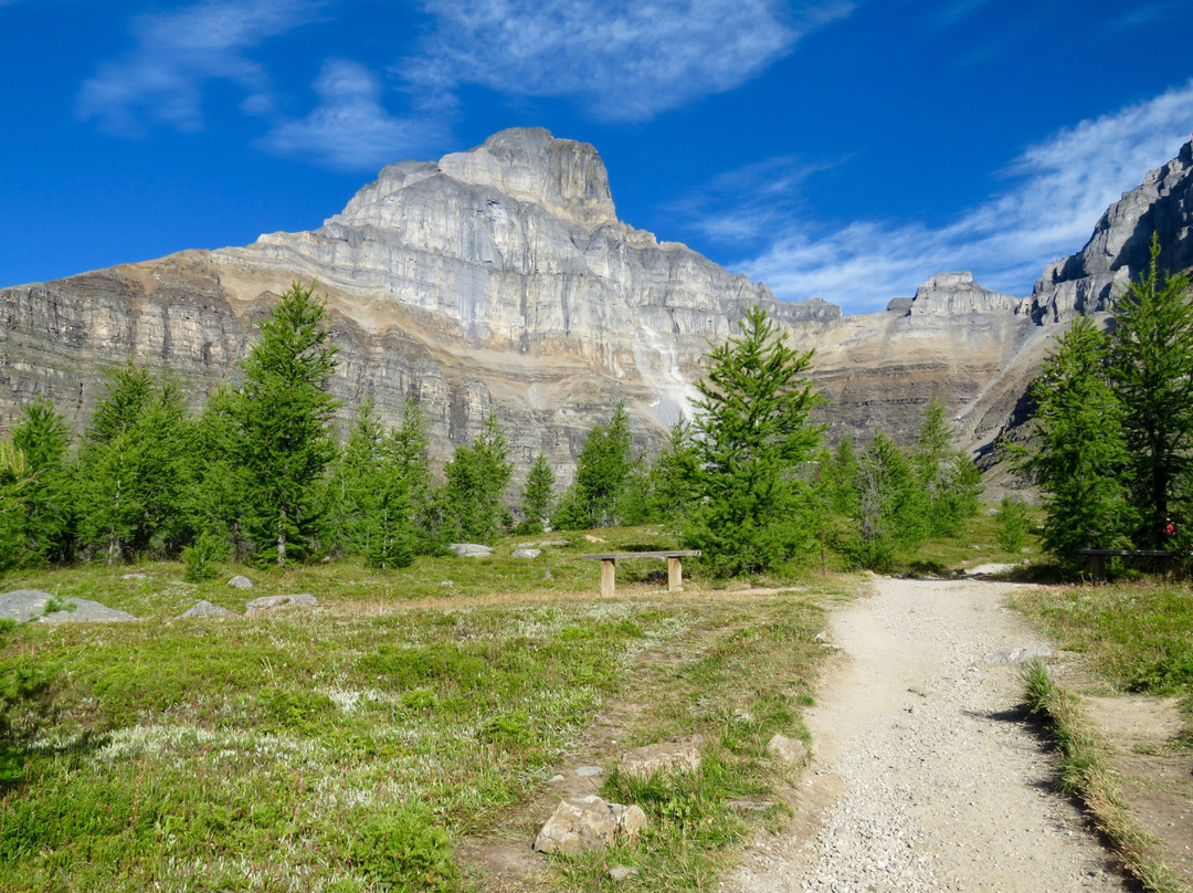 Valley of the Ten Peaks-班夫国家公园必去景点