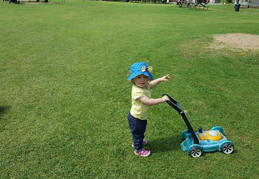 New Mills Farm Park-朗塞斯顿必去景点