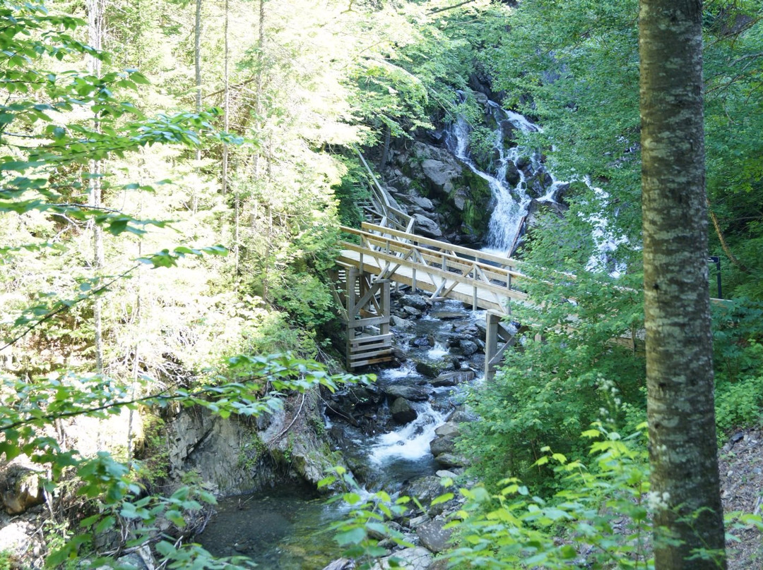 Sentiers de Randonnee Pedestre-Carleton-sur-Mer必去景点