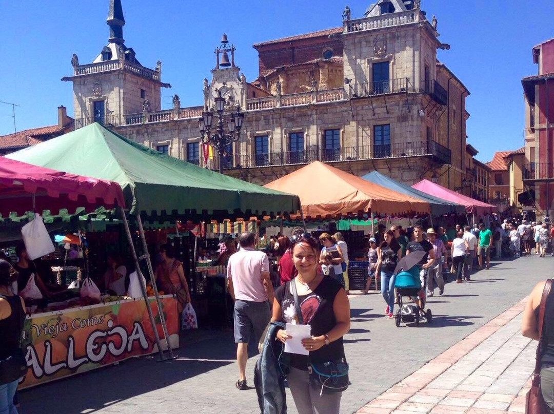 Mercadillo De Frutas Y Alimentos景点图片