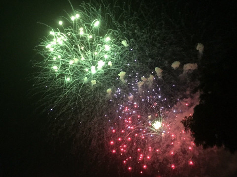 Teganuma Fireworks-柏市必去景点