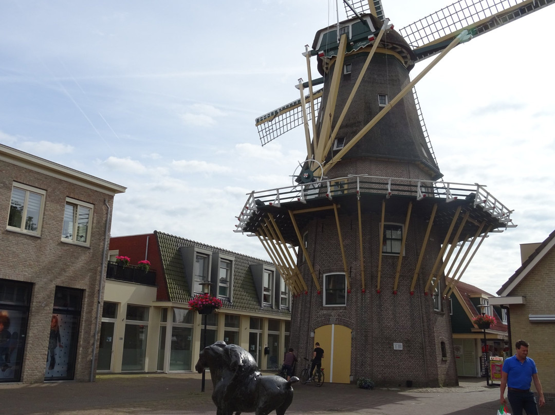 Mill the Lion景点图片