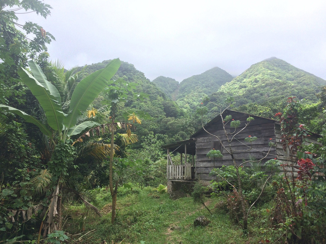 Moses James Dominica主图