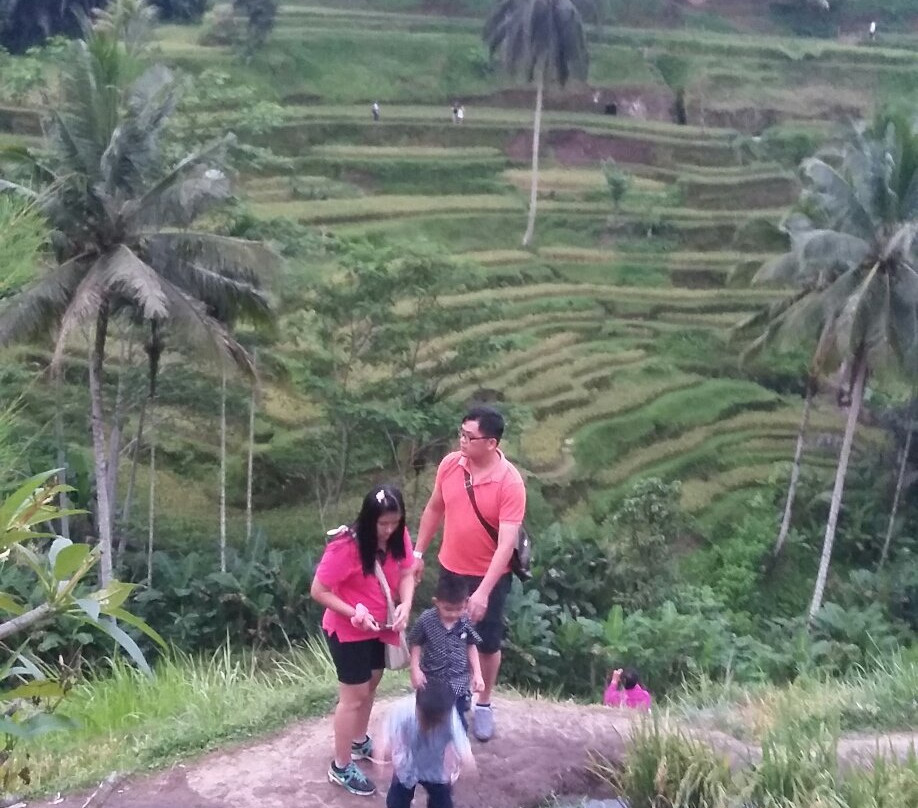 Ubud Bike Adventure-昂格桑必去景点