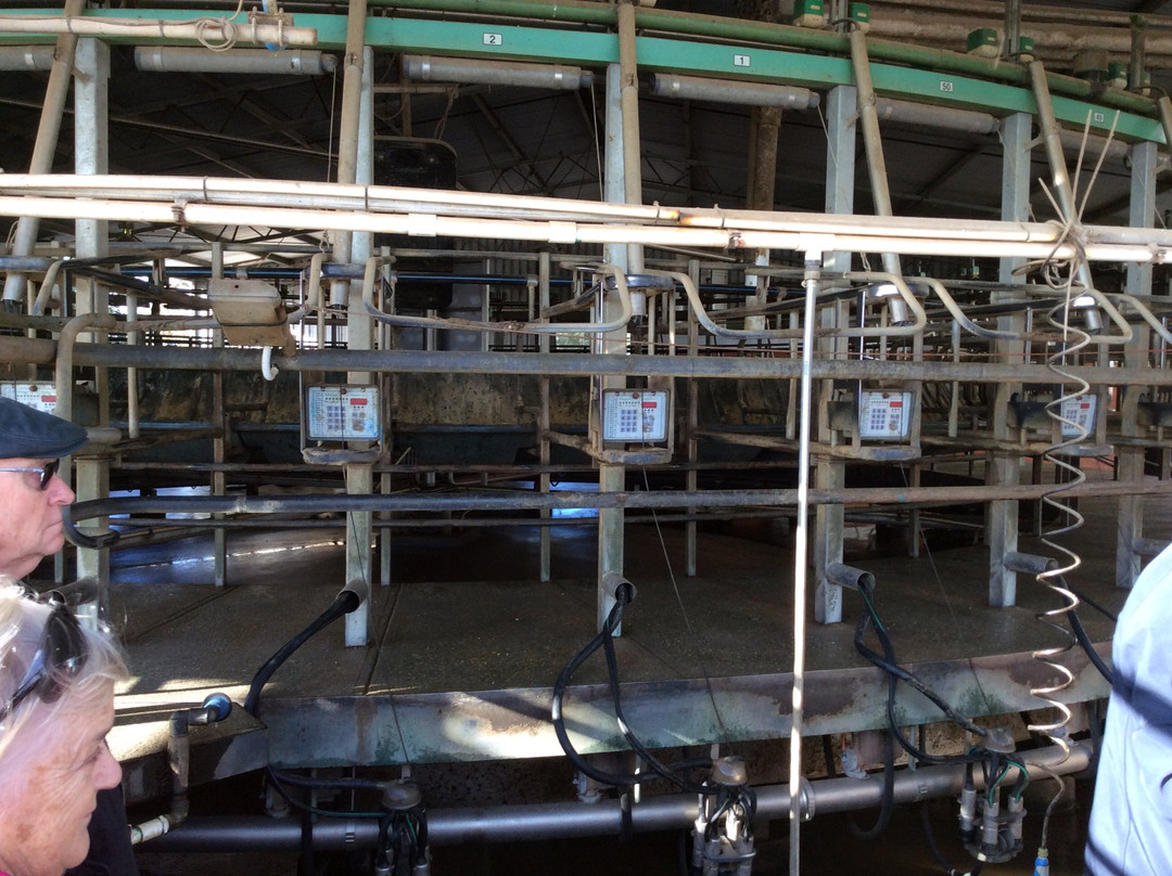 Boosey Creek Cheese-Boosey必去景点