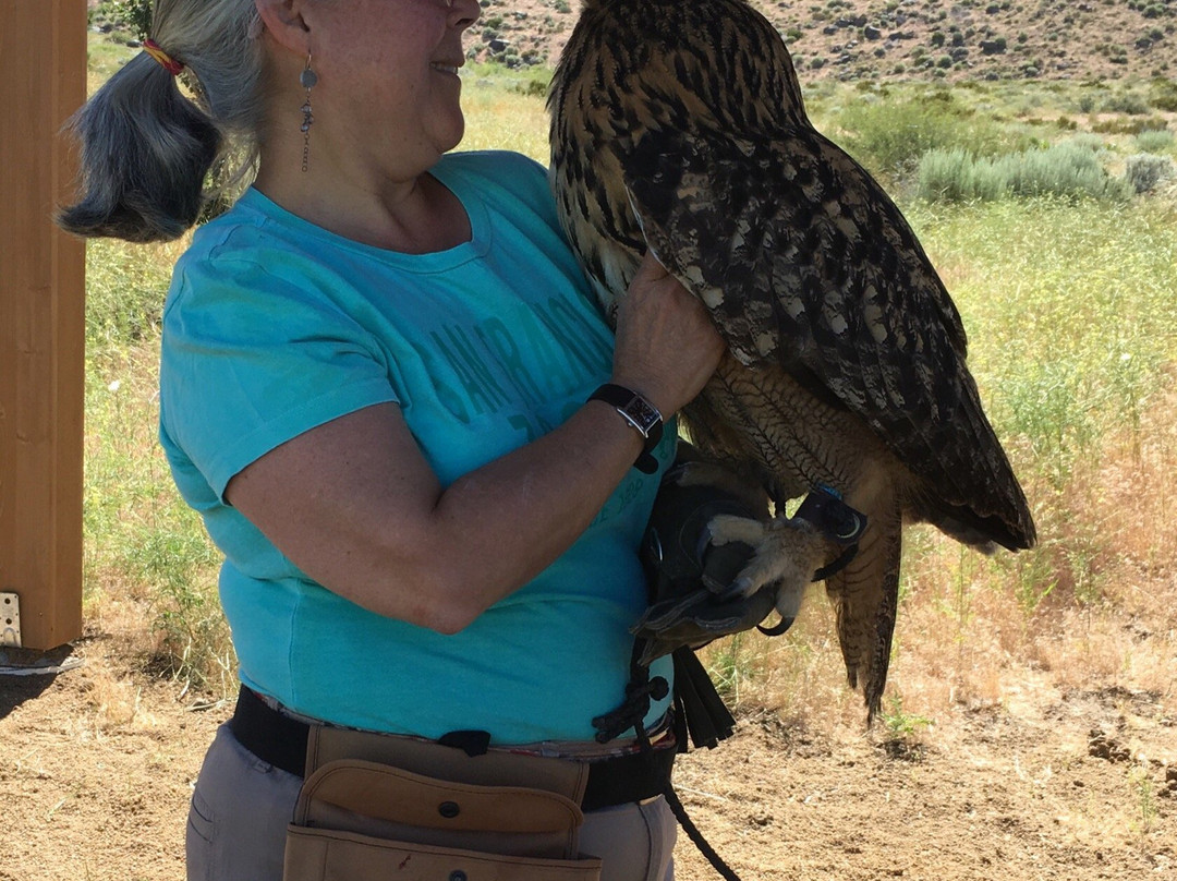 Raptor Adventures-里诺必去景点