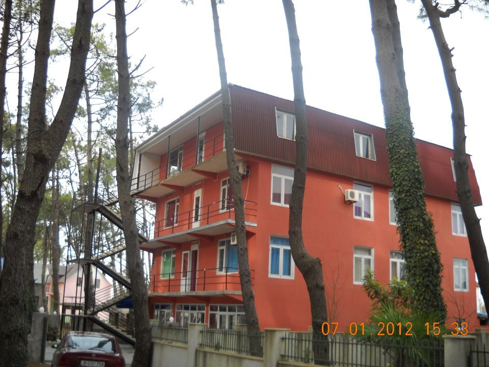 Central Hotel
