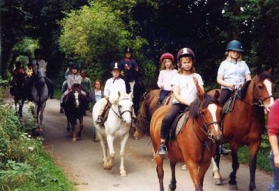 Crosswell Riding Stables-Crymych必去景点