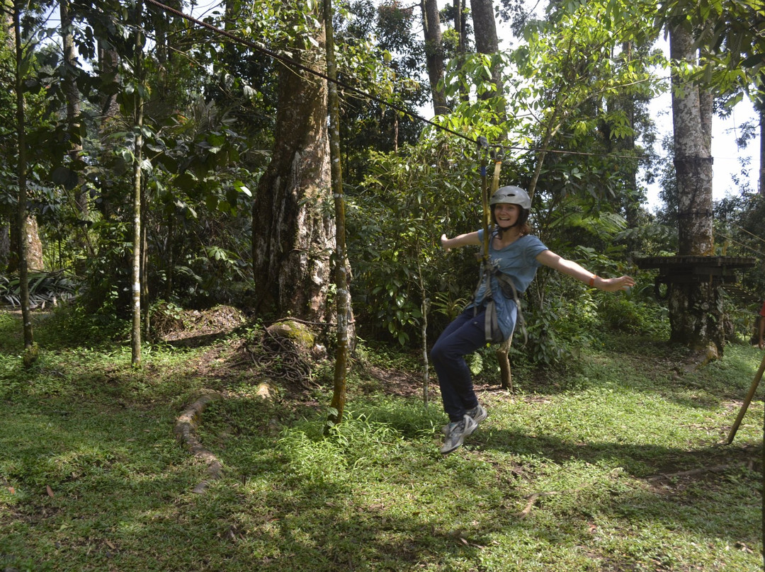 Baturraden Adventure Forest景点图片
