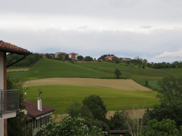 Il Piccolo Leone-官方
