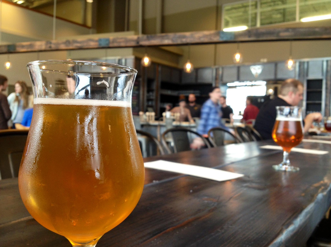 West Michigan Beer Tours景点图片
