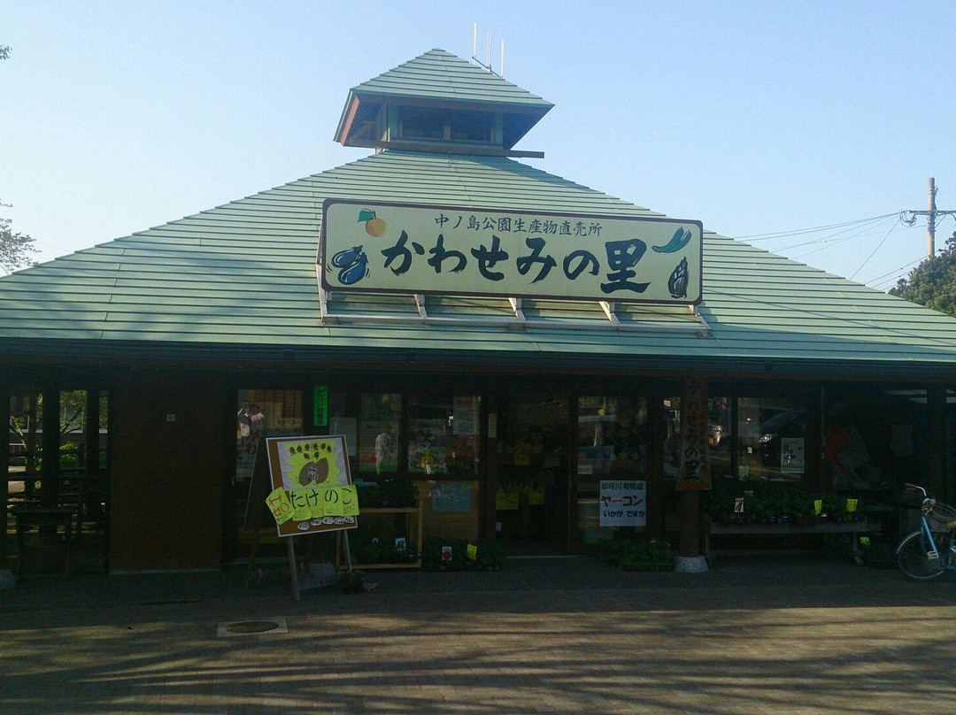 Nakanoahima Park景点图片