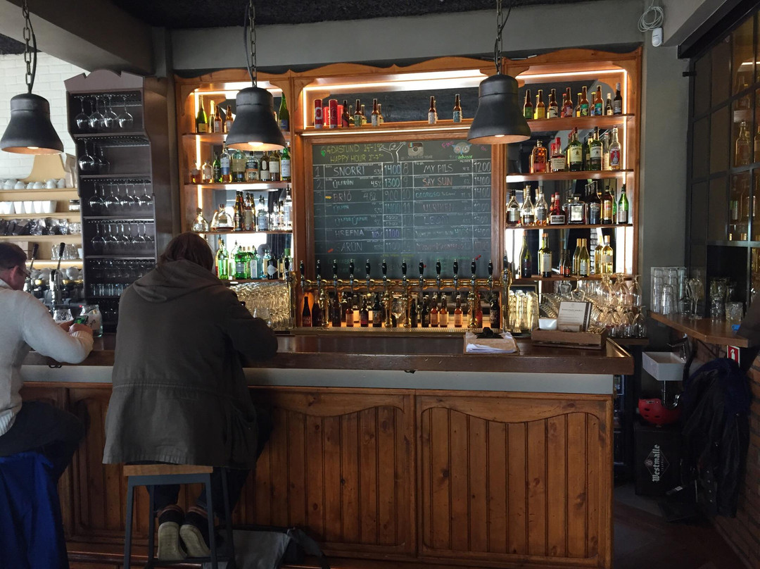 Skuli Craft Bar-雷克雅未克必去景点