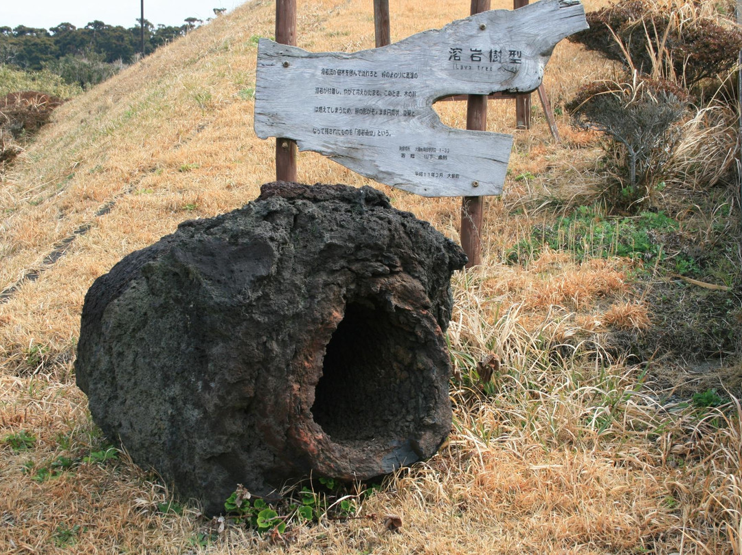 Izu Oshima Volcano Museum-大岛町必去景点