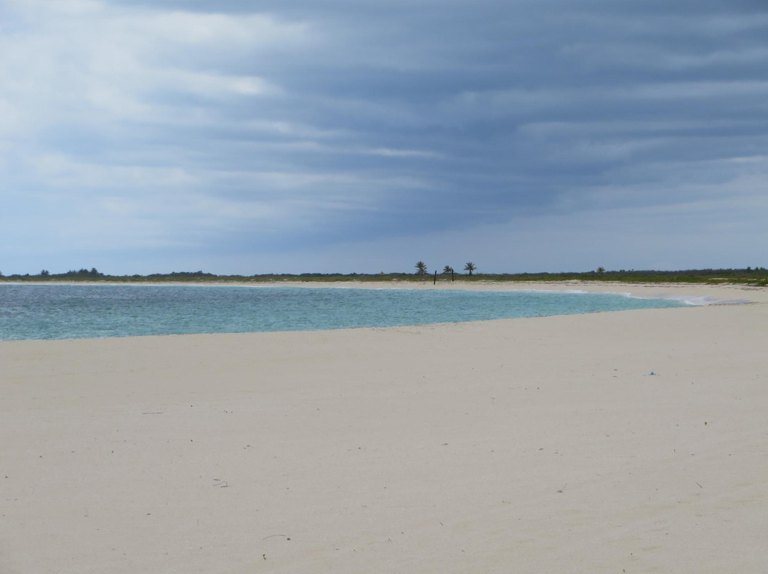 Pink Sand Beach-巴布达必去景点