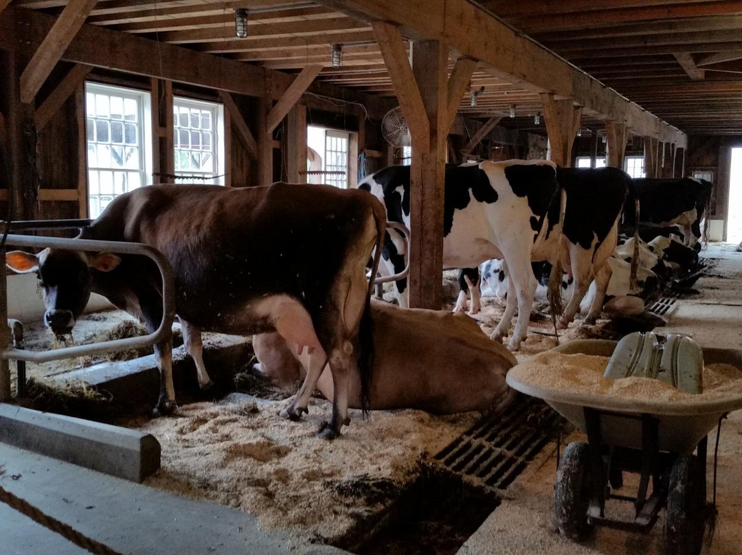 Thorncrest Farm and Milk House Chocolate-Goshen必去景点