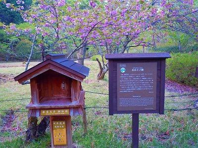 Hosshinmon Oji-田边市必去景点