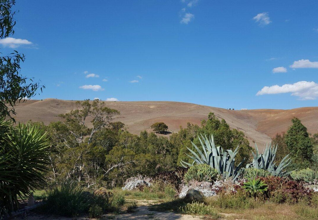 Moorabool Ridge Winery-Lethbridge必去景点
