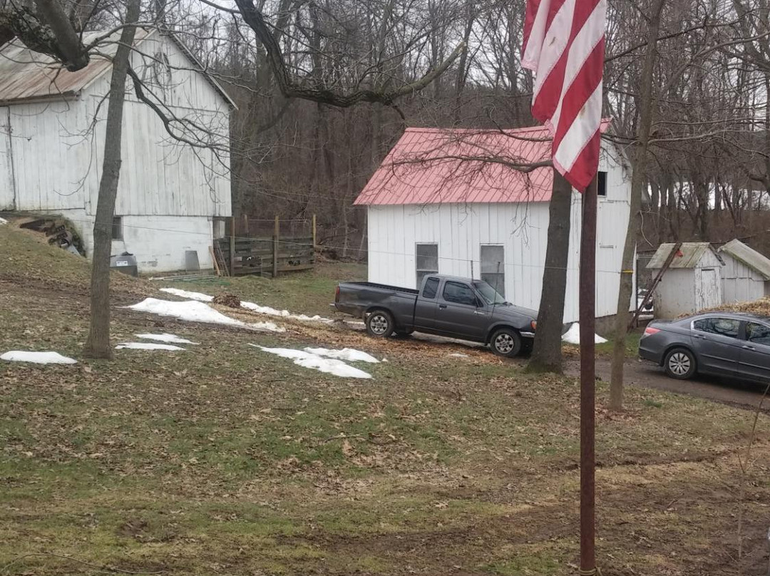 Yolo Farm-White Hall必去景点