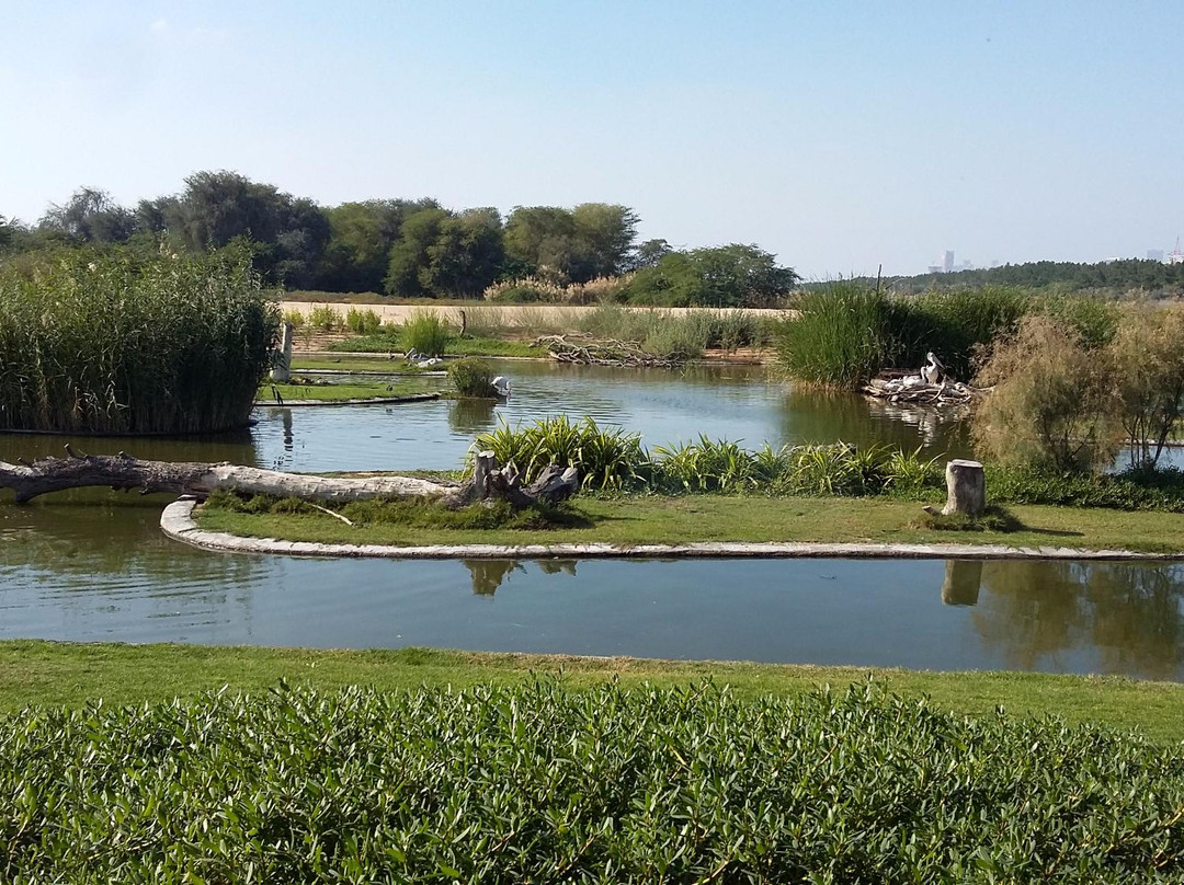 Wasit Wetland Centre-沙迦必去景点