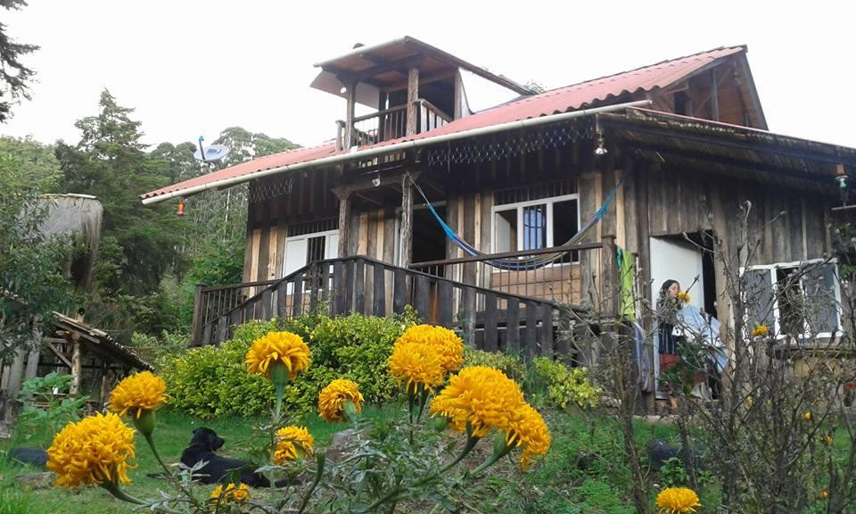 Hostal Selva y Cafe