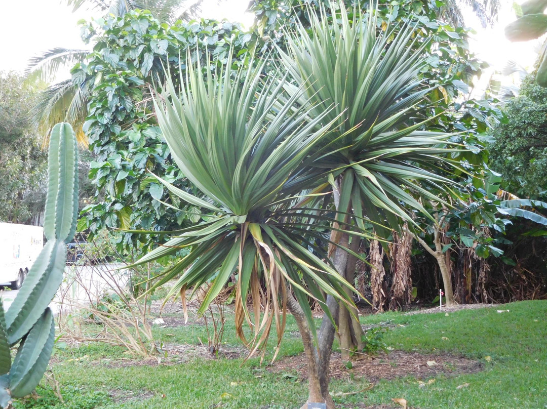 John G. Gifford Arboretum-科勒尔盖布尔斯必去景点