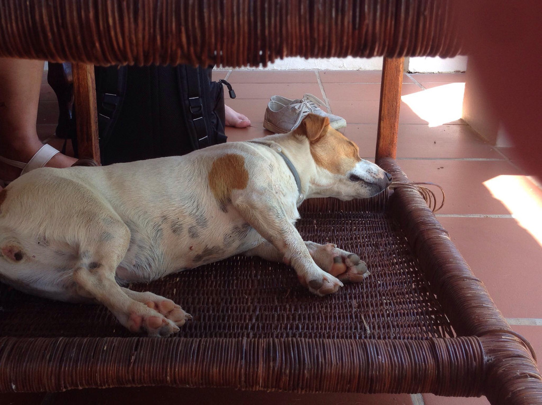 Reed Valley Inn主图