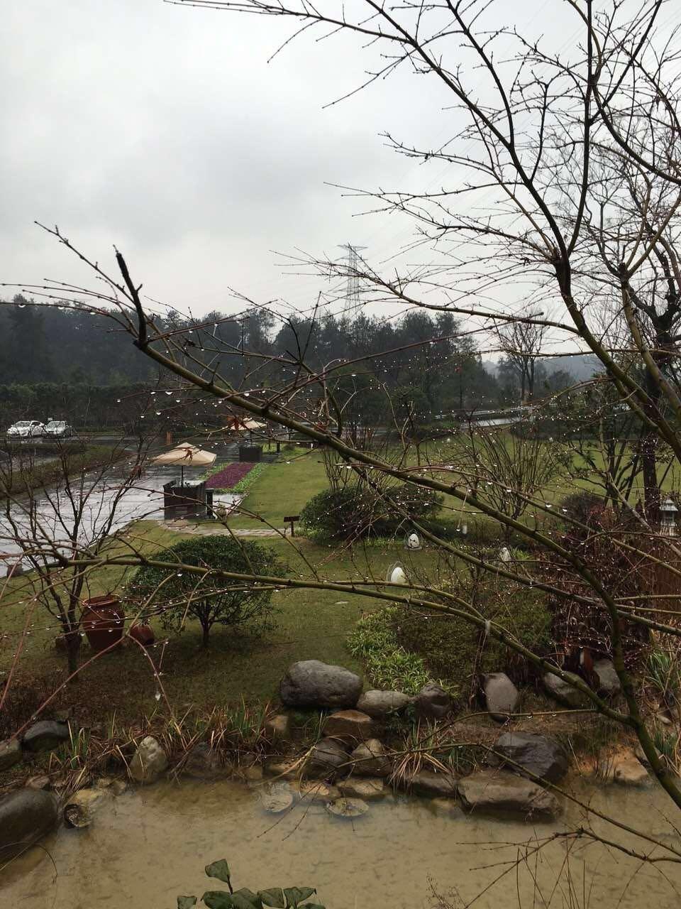 雷迪森度假酒店-酒店景观