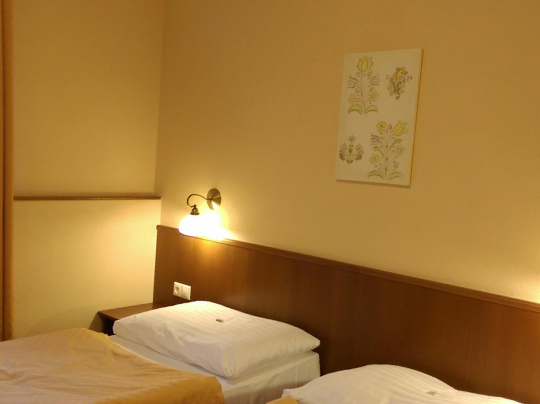 Hotel Majolika主图