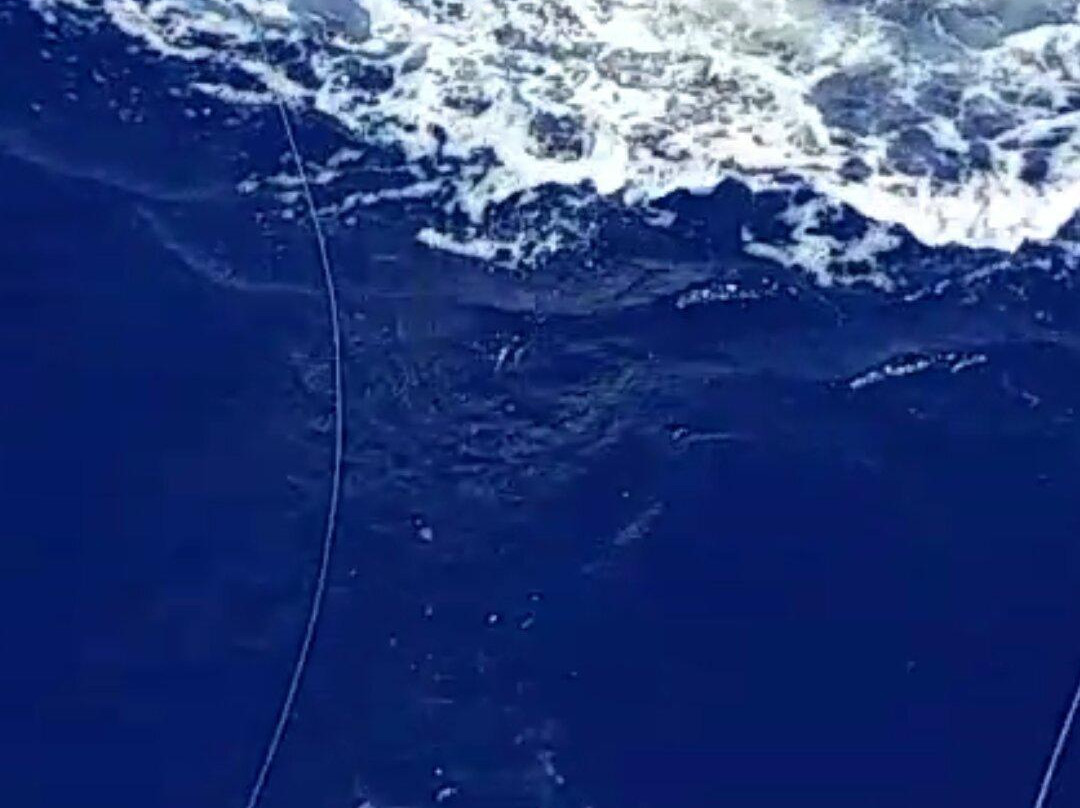 Marlin Magic Sport Fishing-凯鲁瓦-柯纳必去景点