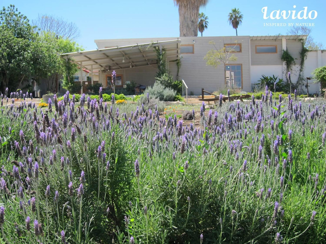 Lavido Visitor Center & Factory Store-Nahalal必去景点