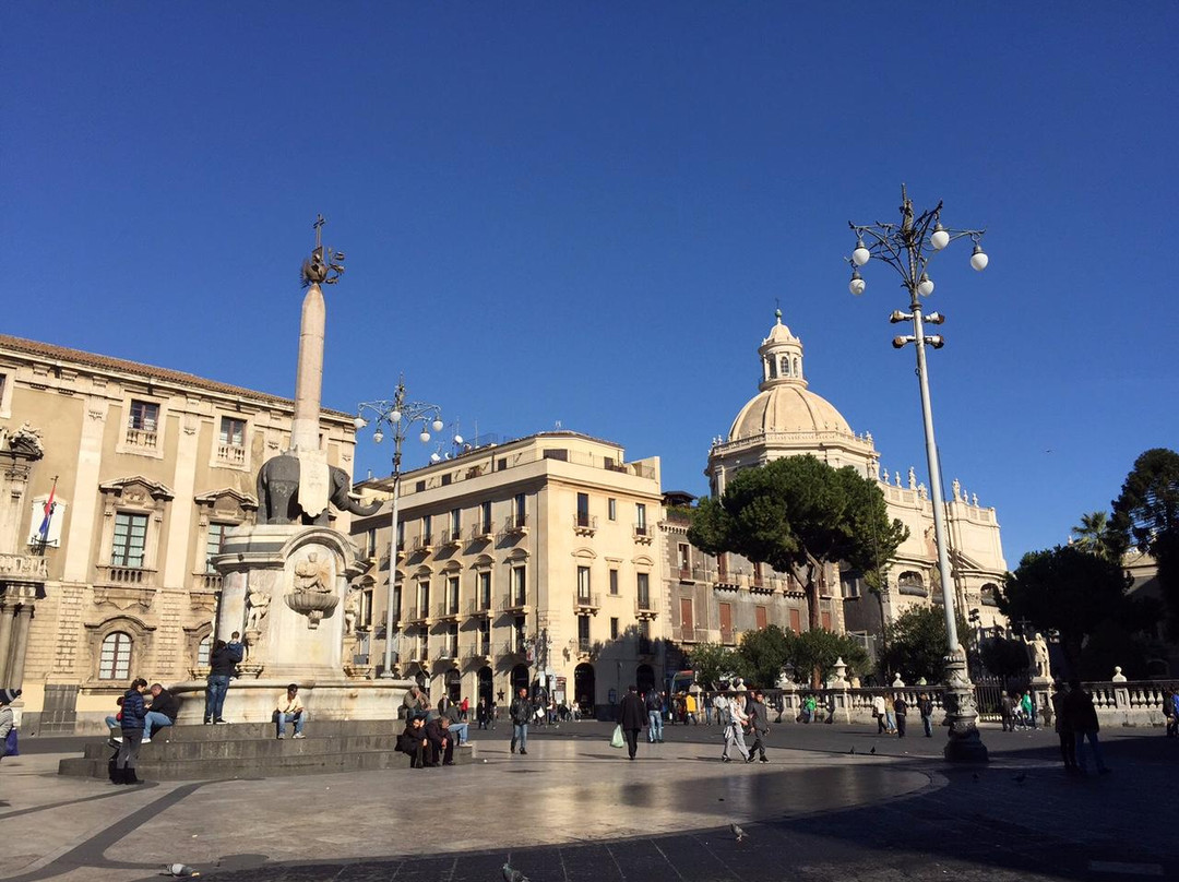 Palazzo degli Elefanti - World Heritage Site景点图片