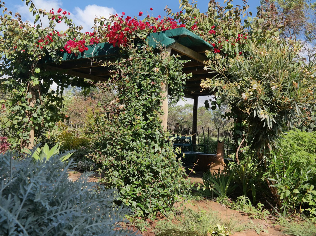 Kokwet Guest House主图